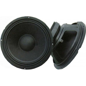 RE10-200-8 basový 10   8ohm 200W